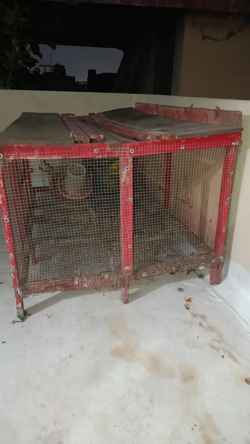 Solid wooden Cage 0332-4153261 — photo 2