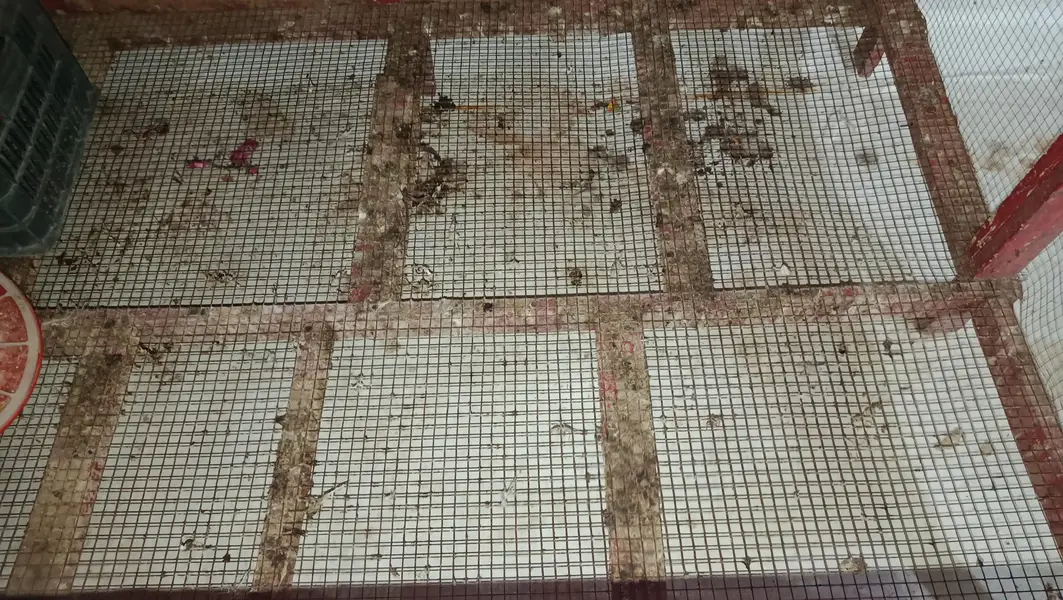 Solid wooden Cage 0332-4153261 — photo 3