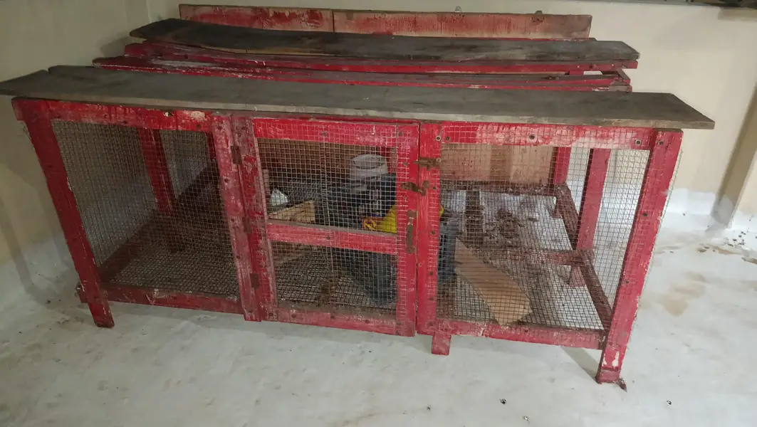 Solid wooden Cage 0332-4153261 — photo 4