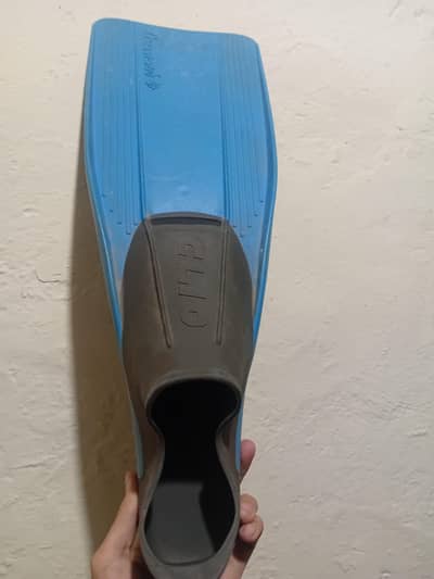 swimming flipper