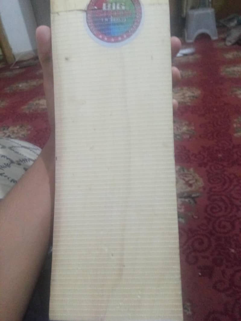 cricket 1