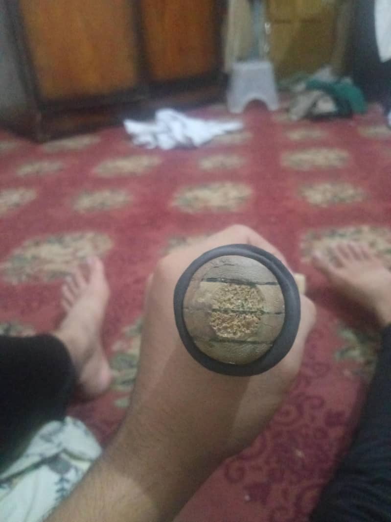 cricket 4