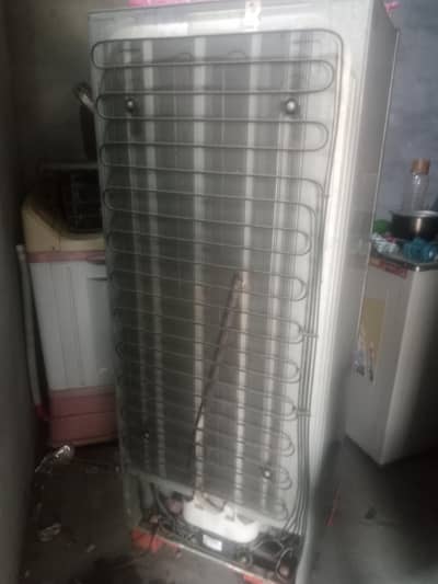 Fridge