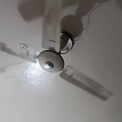 3 Royal Ceiling Fans for Sale – Excellent Condition, Under Warranty