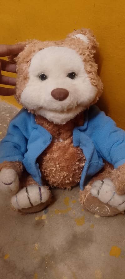 teddy bear