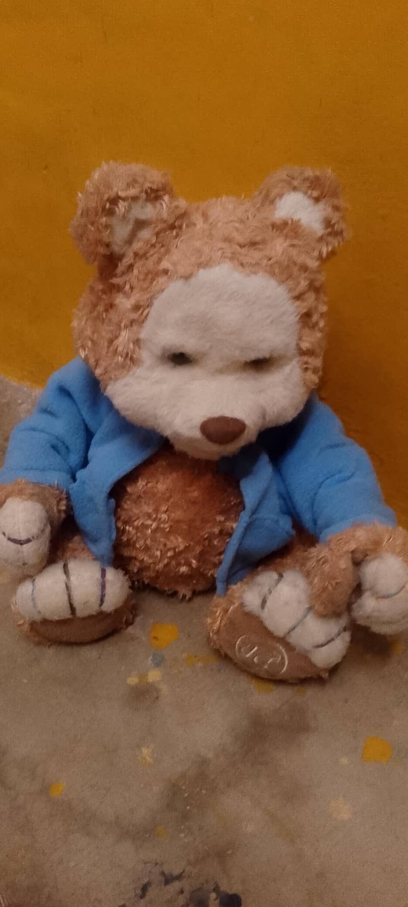 teddy bear 1