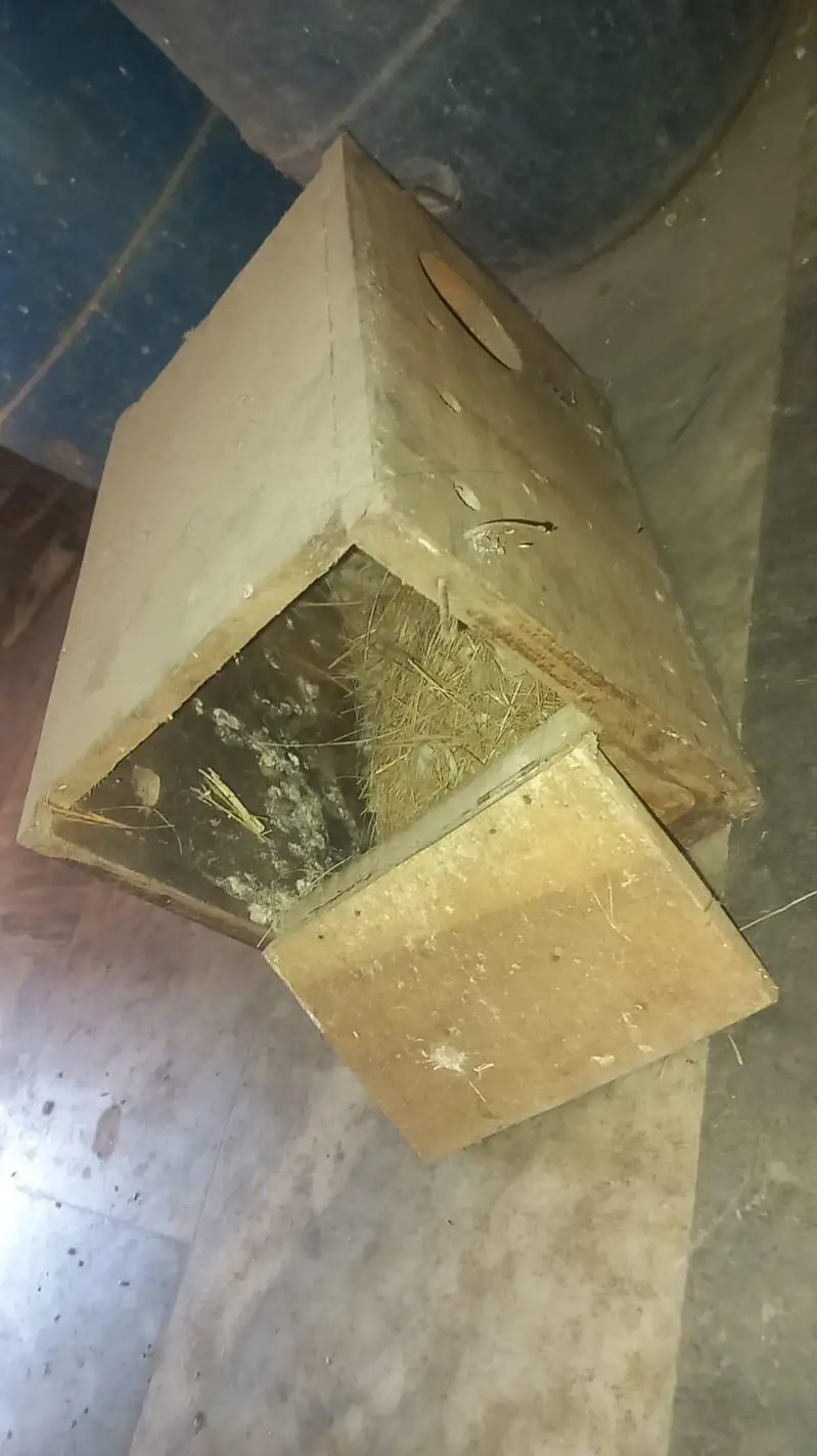 Used Wooden Breeding Boxes — photo 2