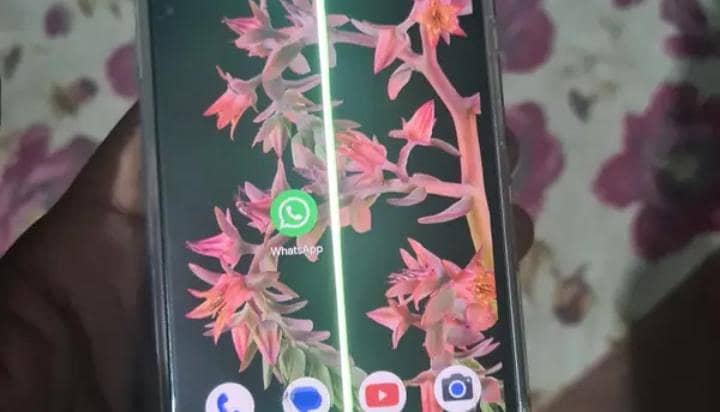 Google Pixel 6 1