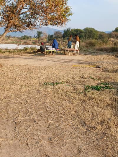 580 kanal faram house land for sale in  balkar chakwal interchange