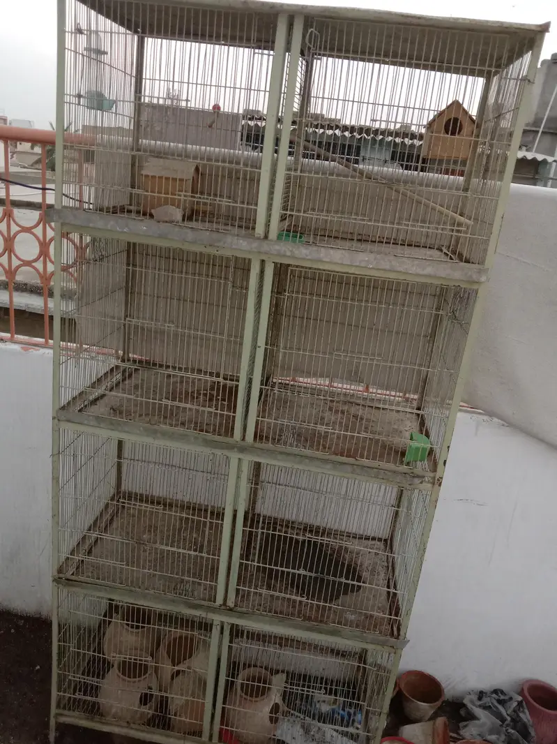 8 portion cage good condition