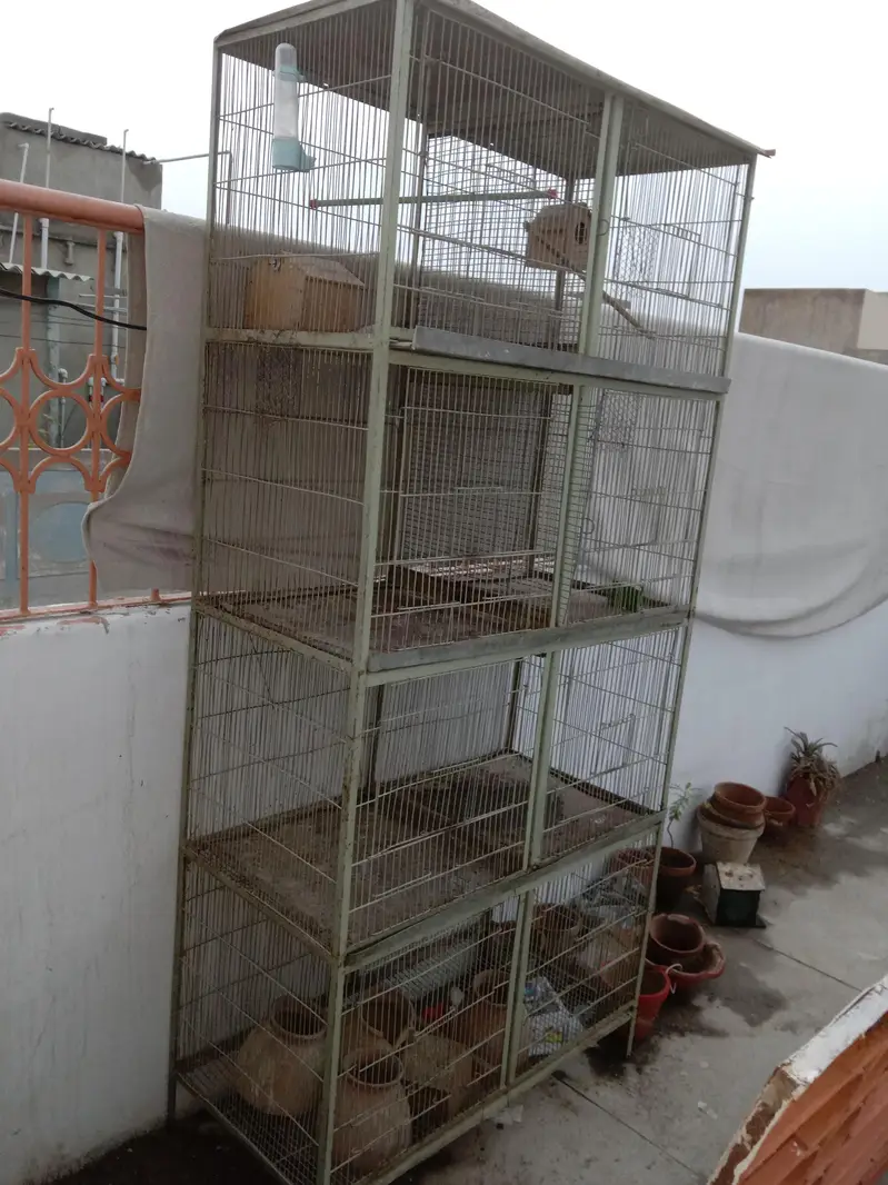 8 portion cage good condition — photo 2