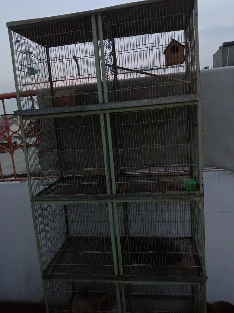 8 portion cage good condition — photo 3