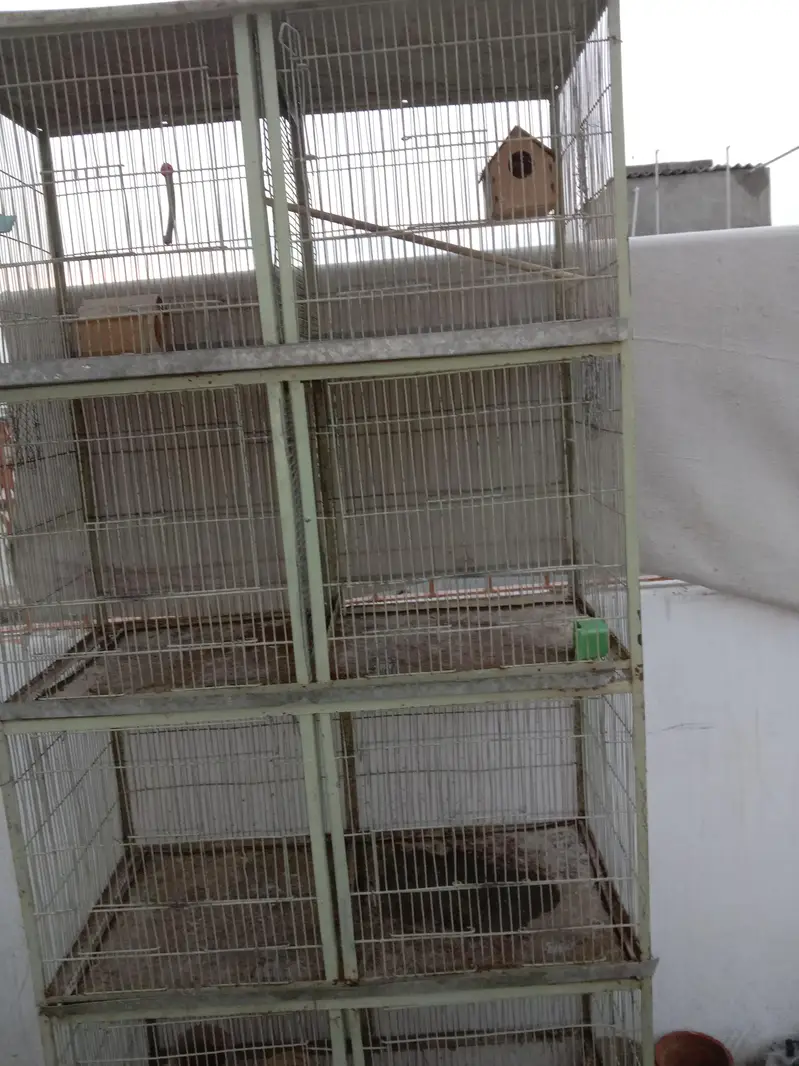 8 portion cage good condition — photo 4