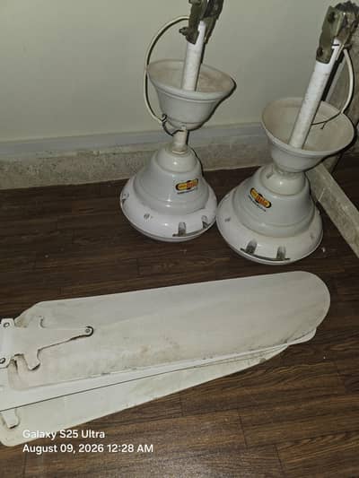 Super Asia 2 Ceiling Fans