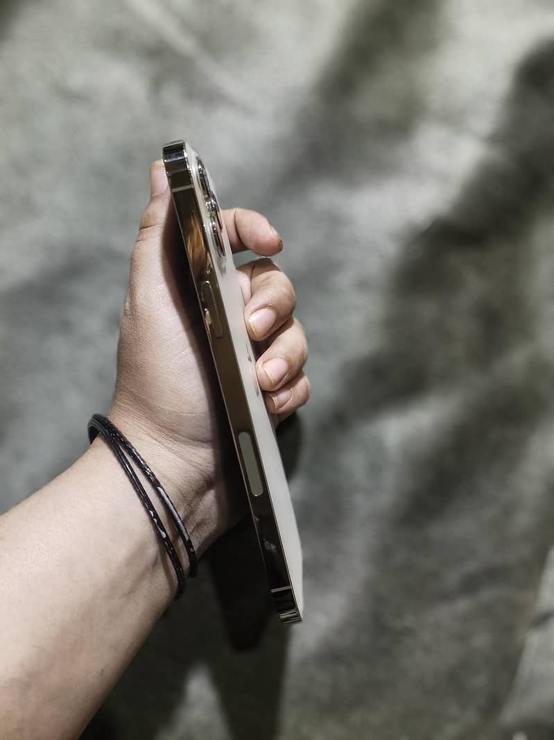 Apple iPhone 12 Pro Max 2