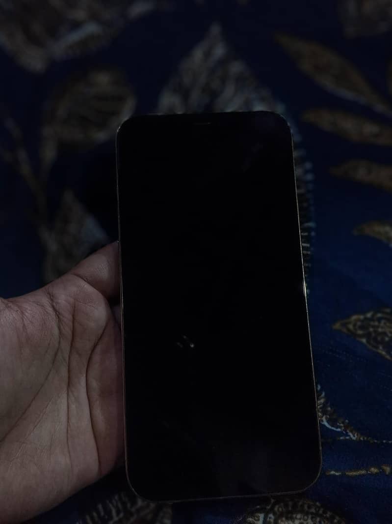 Apple iPhone 12 Pro Max 9