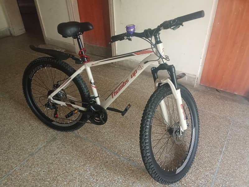 bycycle 1