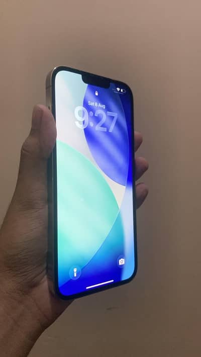 Apple iPhone 13 Pro Max  JV