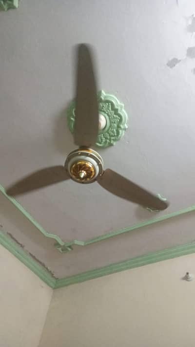 ceiling fan