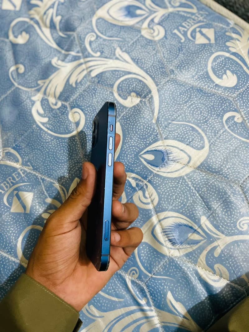 Apple iPhone 12 1