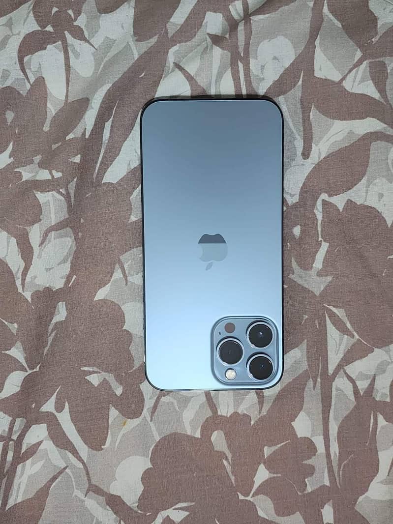 iphone 13 pro max 1