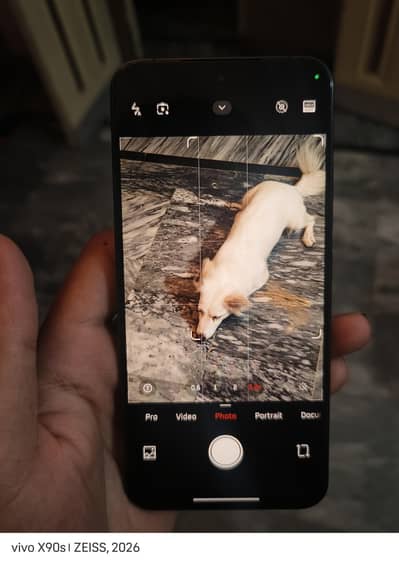Xiaomi Mi 14