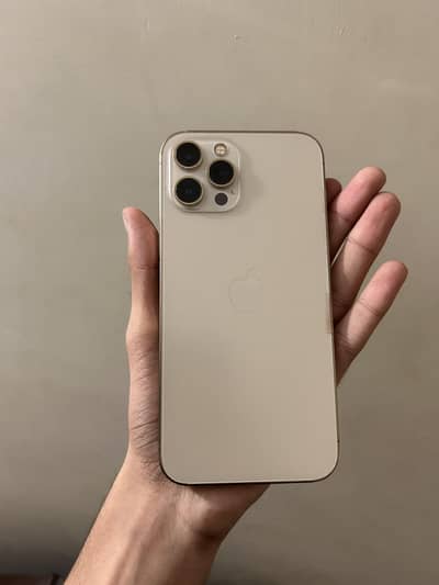 Apple iPhone 12 Pro Max