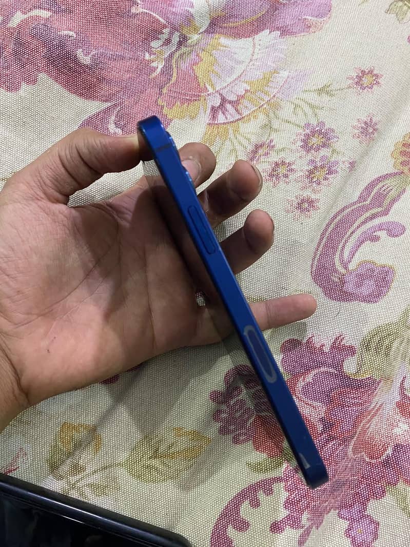 Apple iPhone 12 1