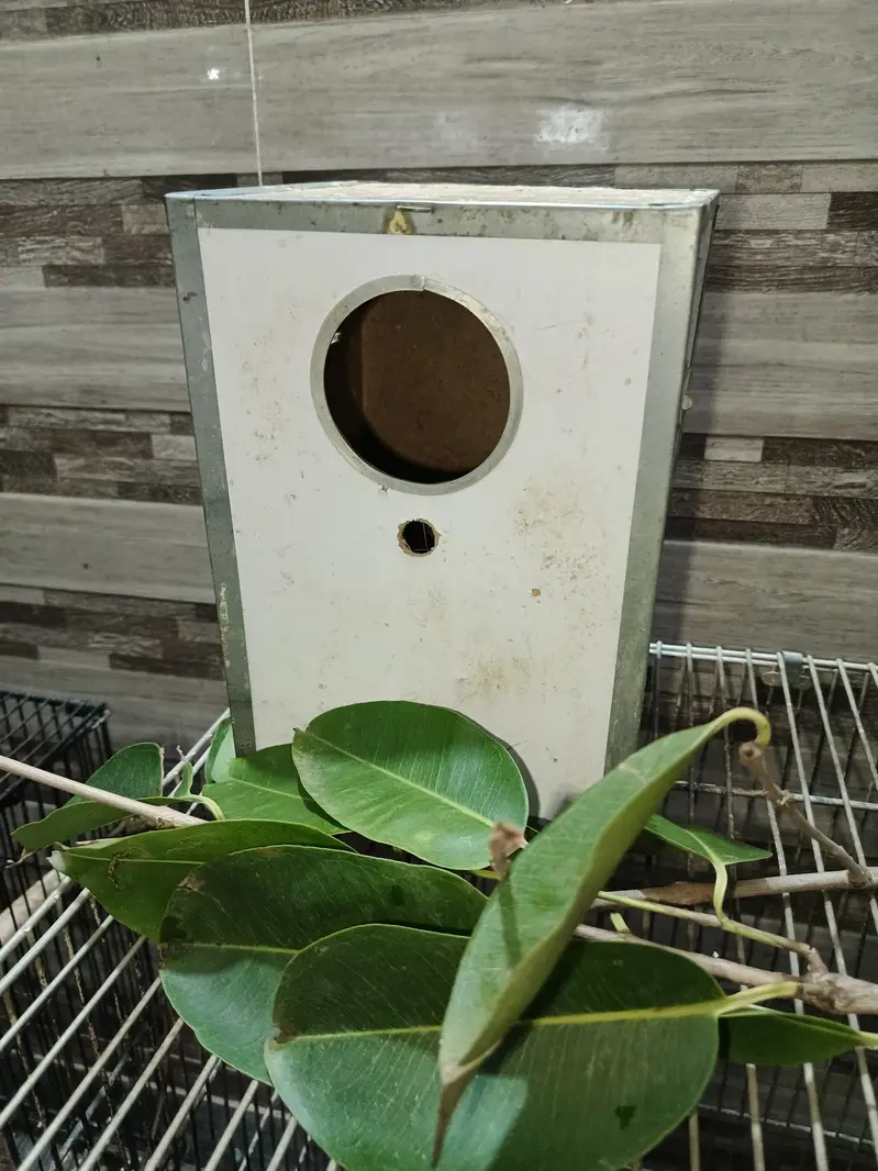 ​2 Portion Heavy Duty Bird  with two nesting boxes in Good Condition — photo 3