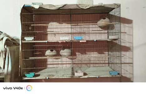 Cages for sale