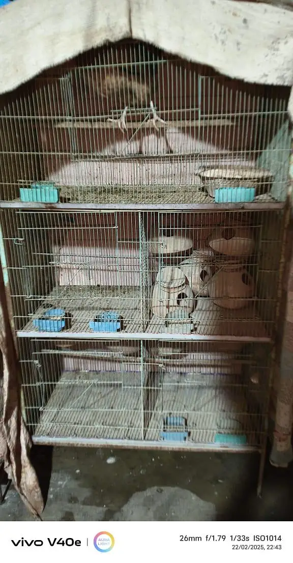 Cages for sale — photo 3