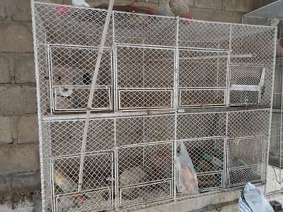Birds cages
