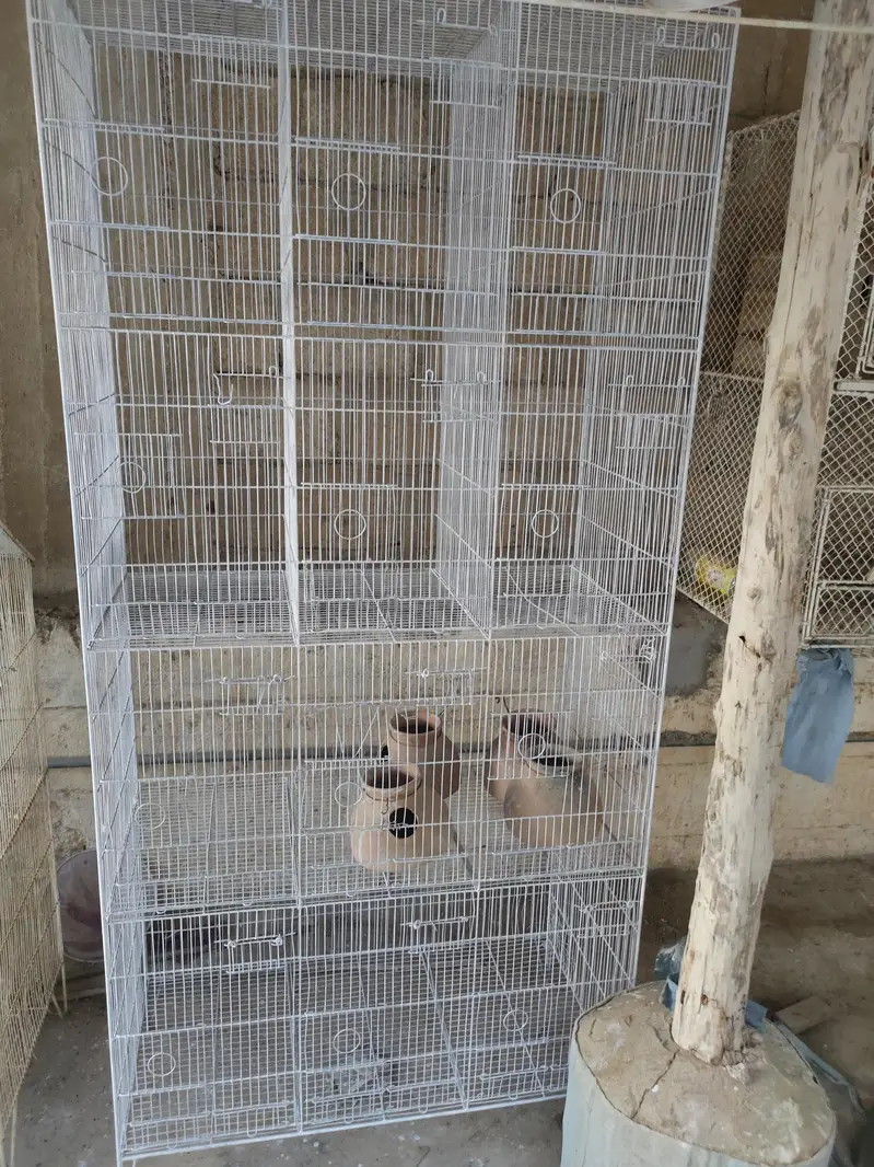 Birds cages — photo 2