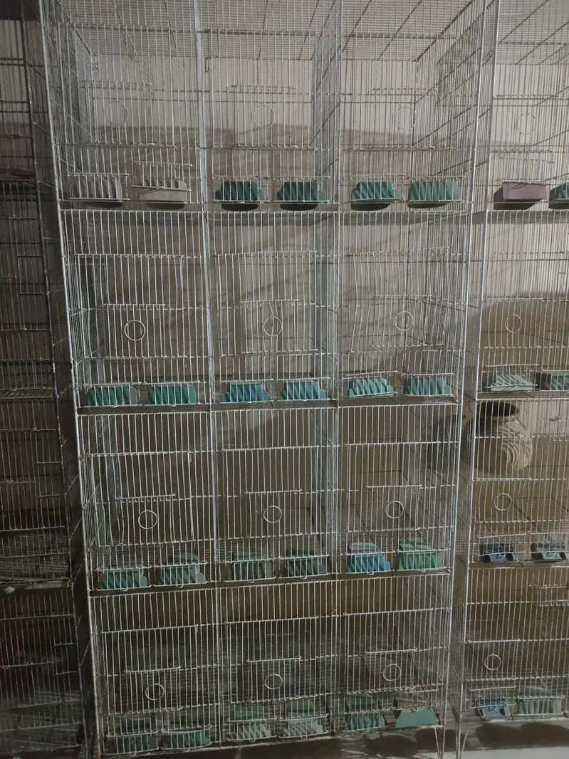 Birds cages — photo 3
