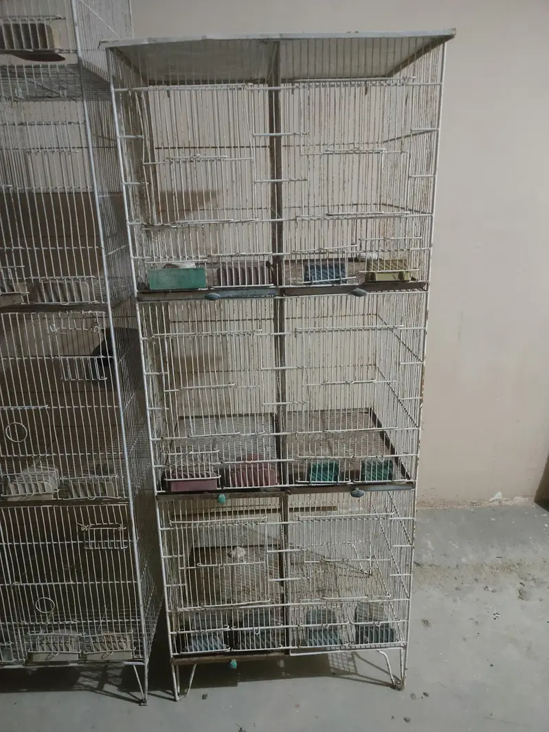 Birds cages — photo 4