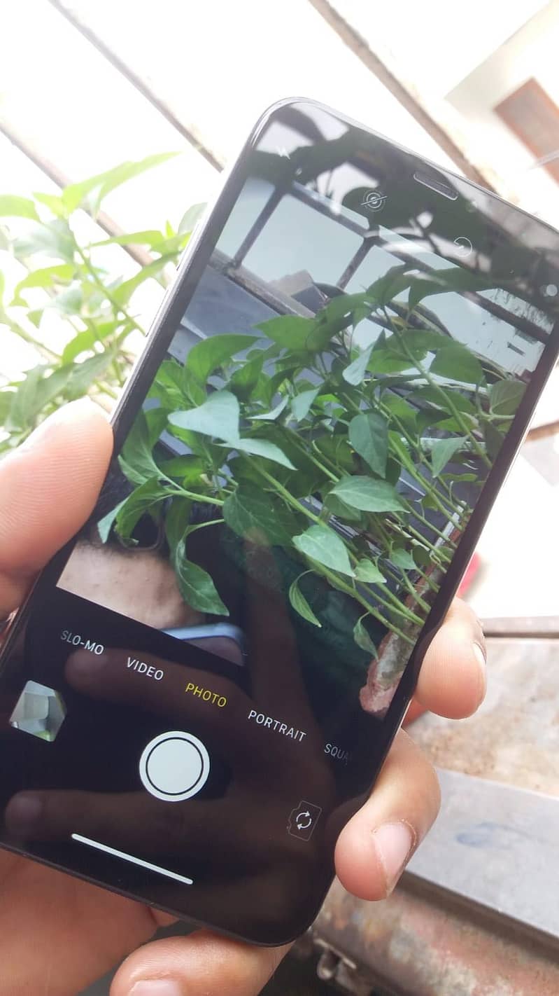 Apple iPhone X 1