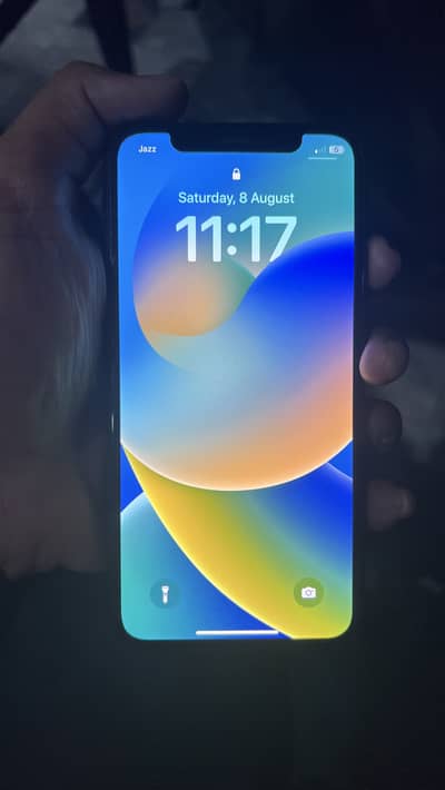 iPhone X pta approved