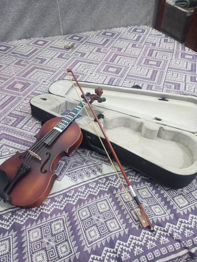 new violin For Sale