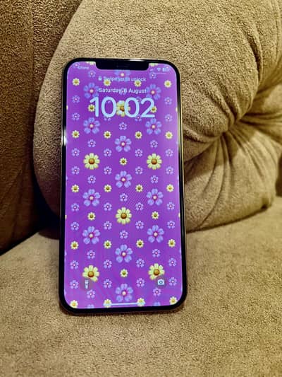 Apple iPhone 12 Pro Max - 10/10 (Complete Box)