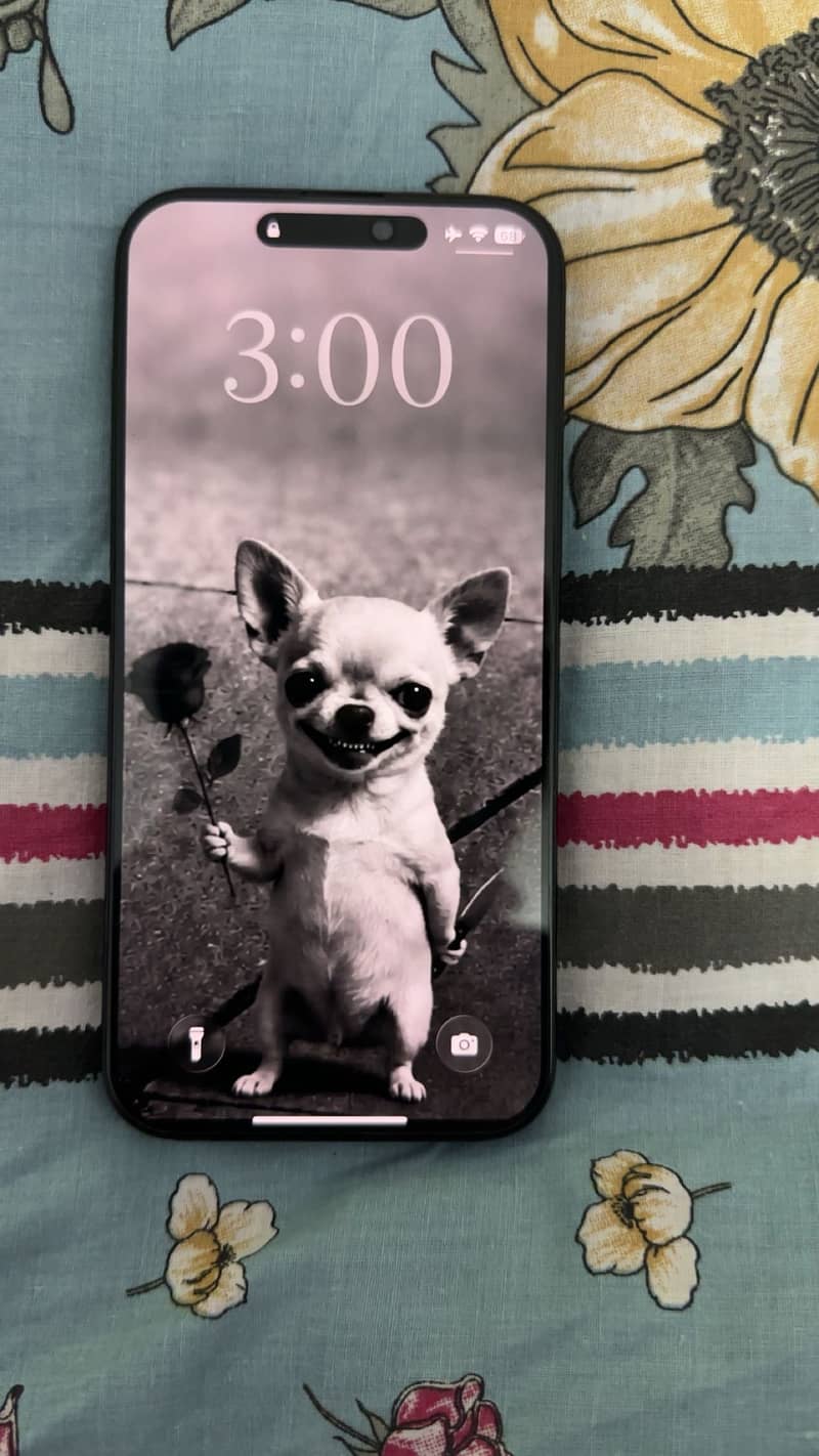 Apple iPhone 16 Pro Max 6