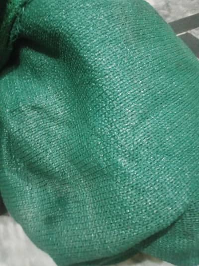 green sun shades