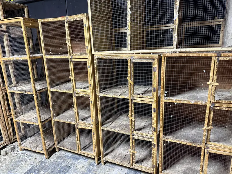 Cages — photo 3