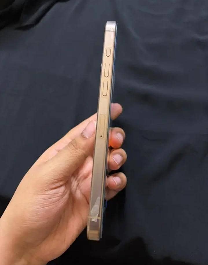 Apple iPhone 16 Pro Max 2