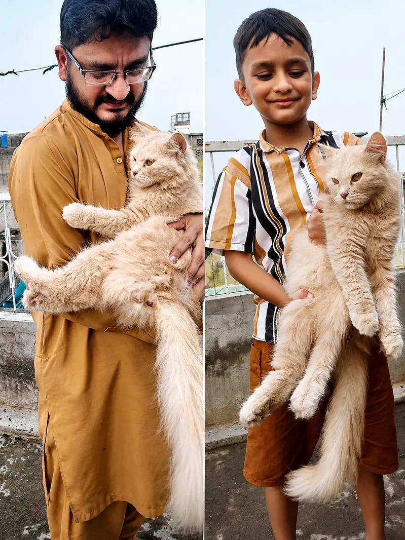 Sab kuch beautiful or perfect hai — photo 5