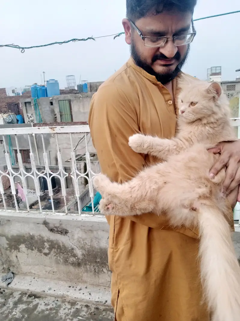 Sab kuch beautiful or perfect hai — photo 6