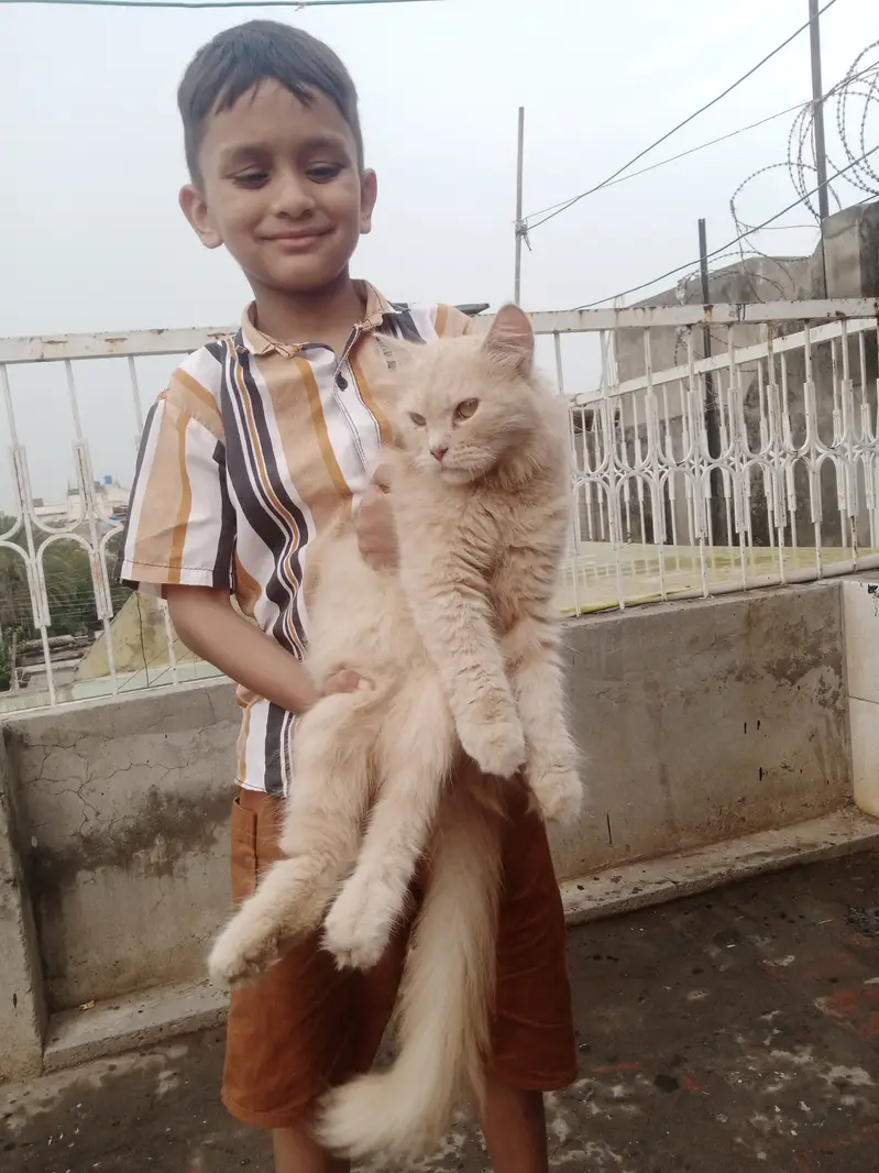Sab kuch beautiful or perfect hai — photo 7