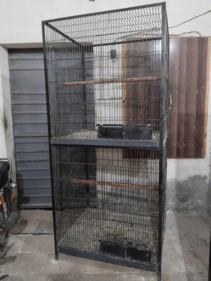 Breeding and fly cage — photo 4
