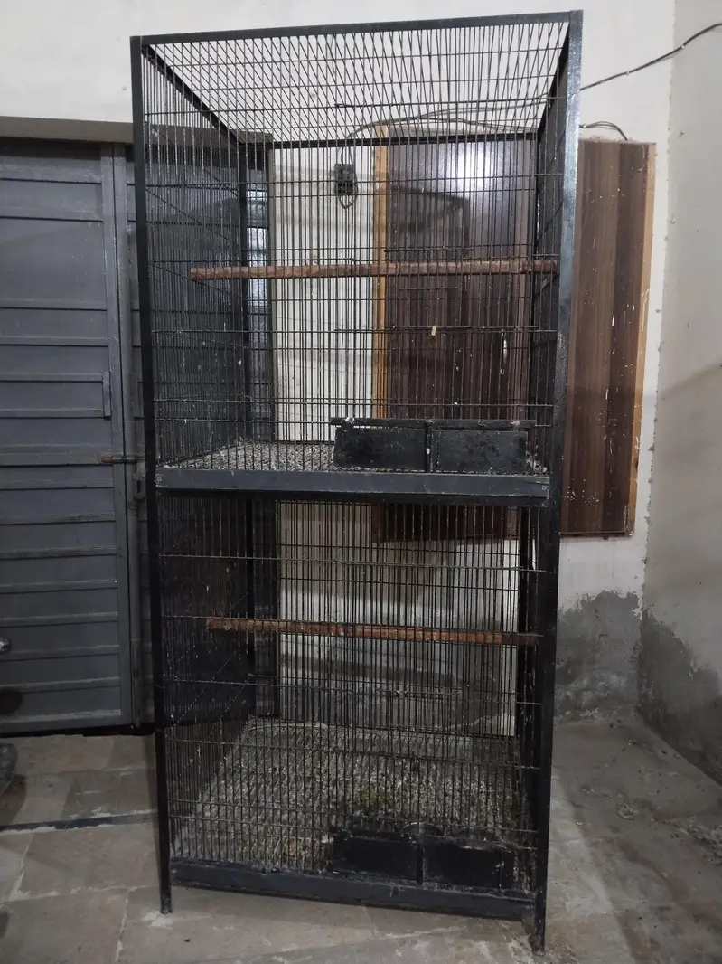 Breeding and fly cage — photo 7