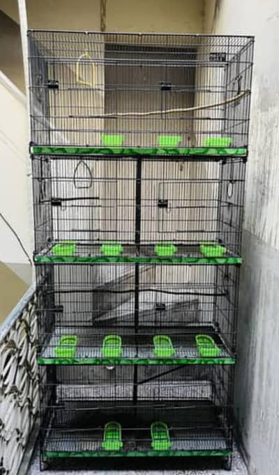 6 cage complete set