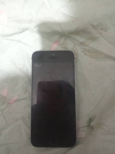 Apple iPhone 5s